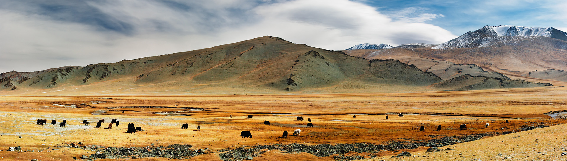 Mongolei Flug